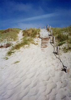sandy steps leading up the dunes and off the beach