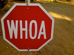 Red stop sign that reads "Whoa" instead of "Stop"